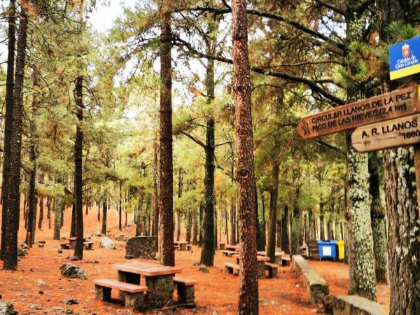 Gran Canaria self guided hiking vacation