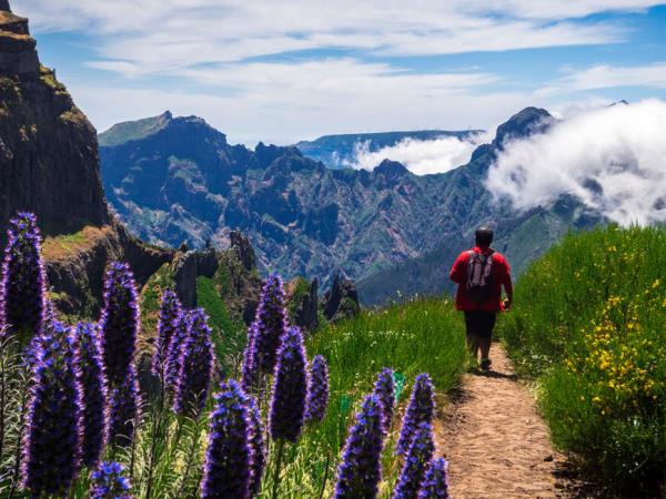 Self-guided walking vacation in Madeira