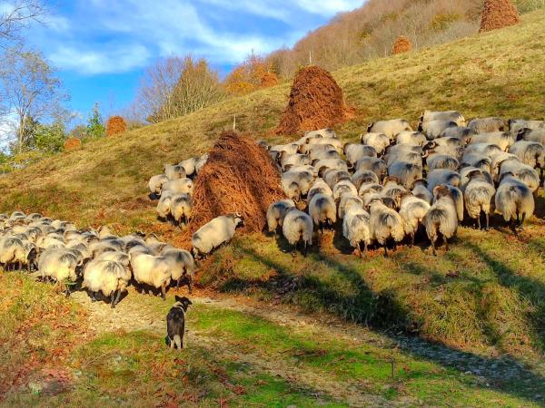 Basque country self guided walking vacation