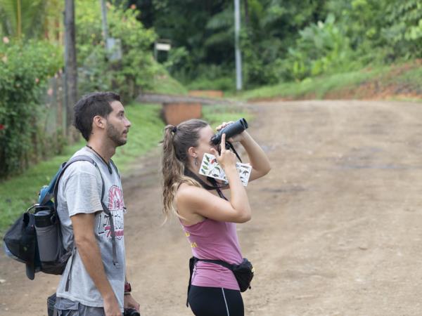 Turtle conservation in Costa Rica