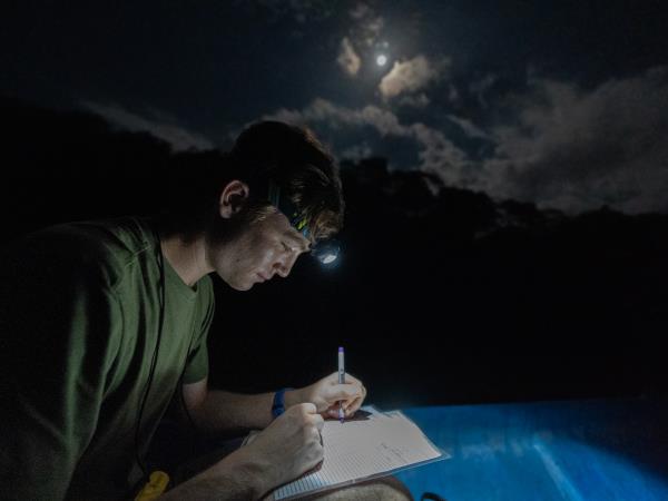 Turtle conservation in Costa Rica