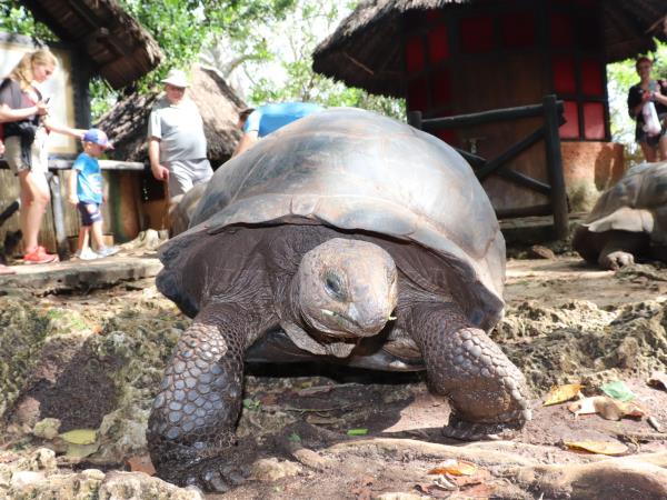 Zanzibar adventure vacation, 5 days