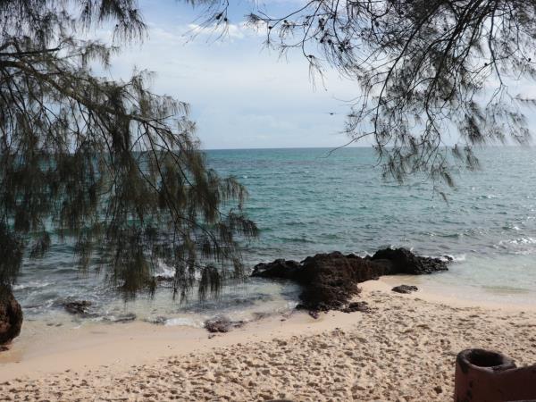 Zanzibar adventure vacation, 5 days