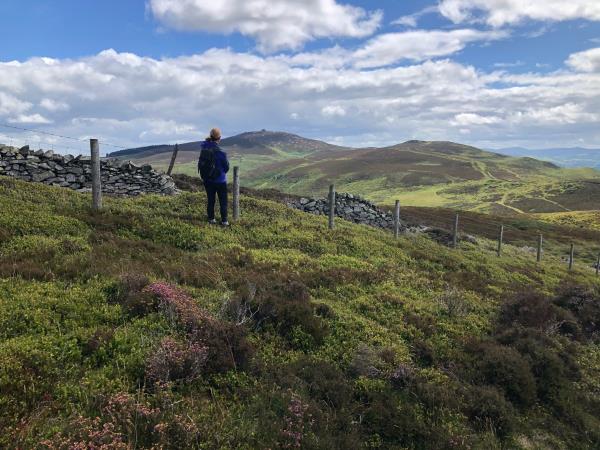 Wales self guided hiking, Offa’s Dyke