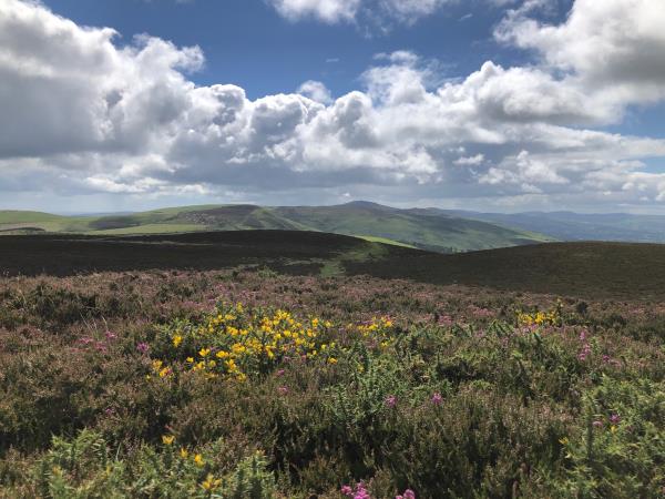Wales self guided hiking, Offa’s Dyke