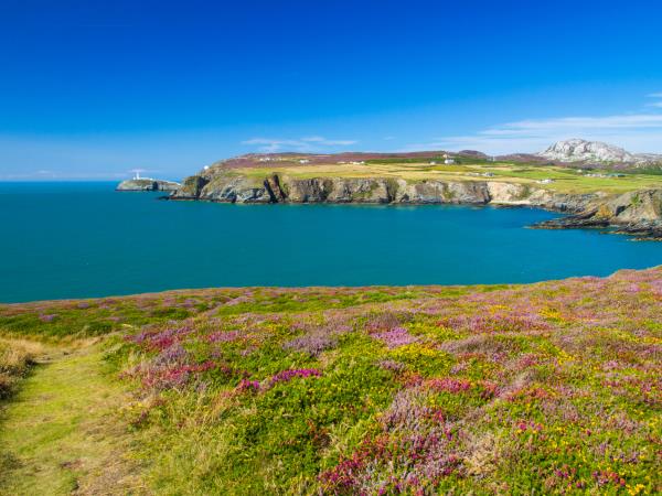 Anglesey self guided walking vacation