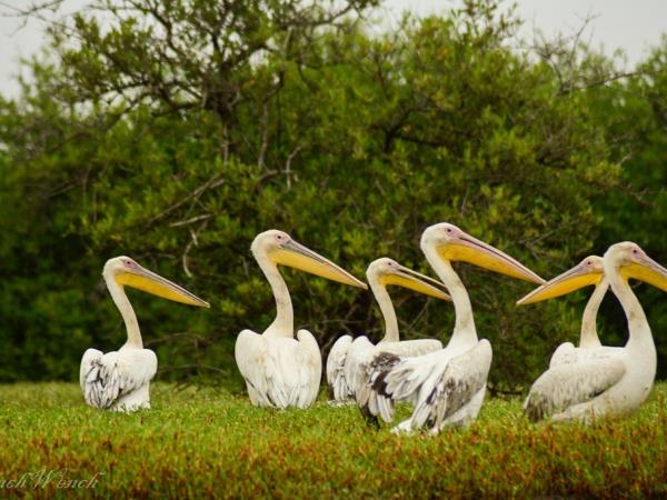 Gambia small group tour