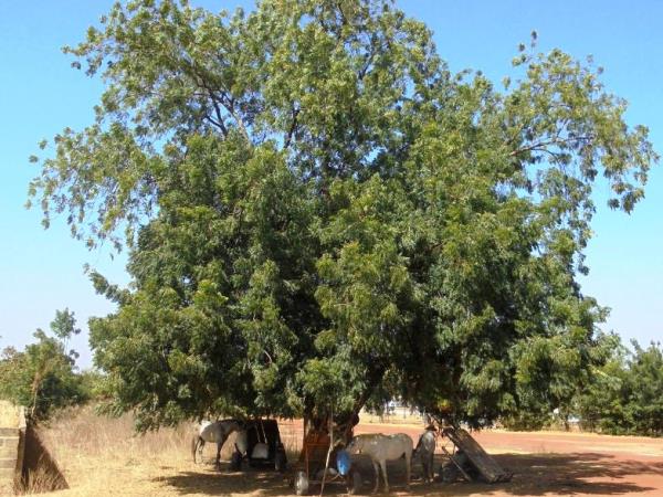 Gambia small group tour