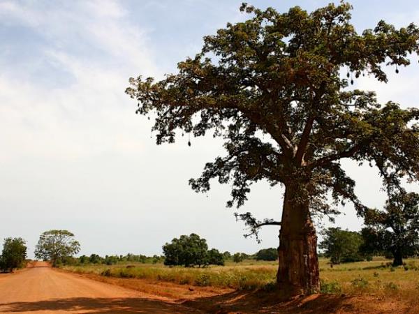Gambia small group tour