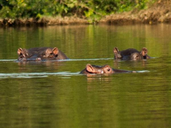 Gambia small group tour