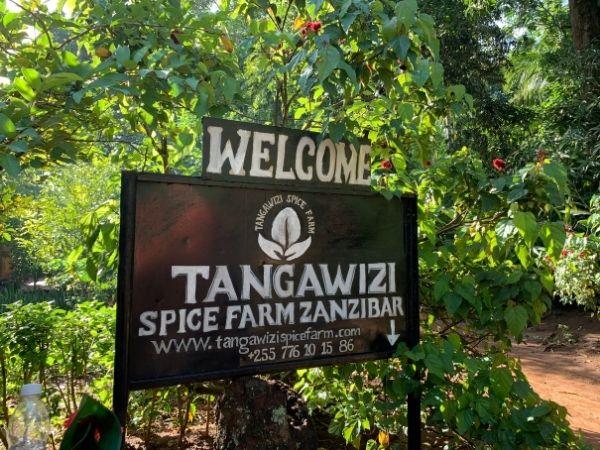 4 days in Zanzibar vacation