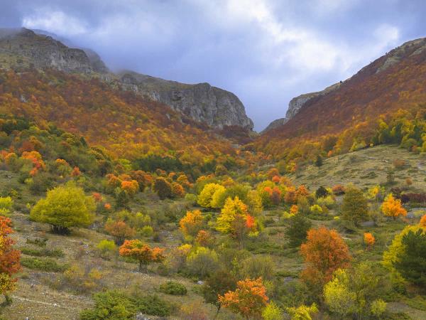 Italy rewilding vacation in the Apennines