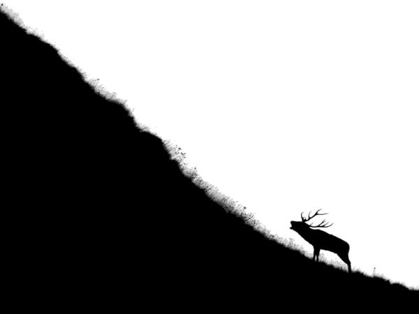 Italy rewilding vacation in the Apennines