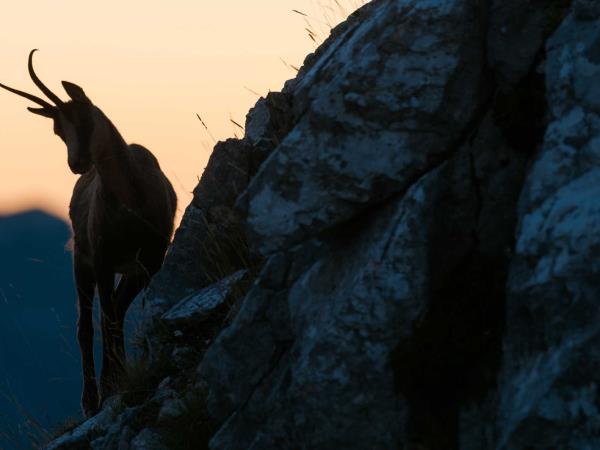 Italy rewilding vacation in the Apennines