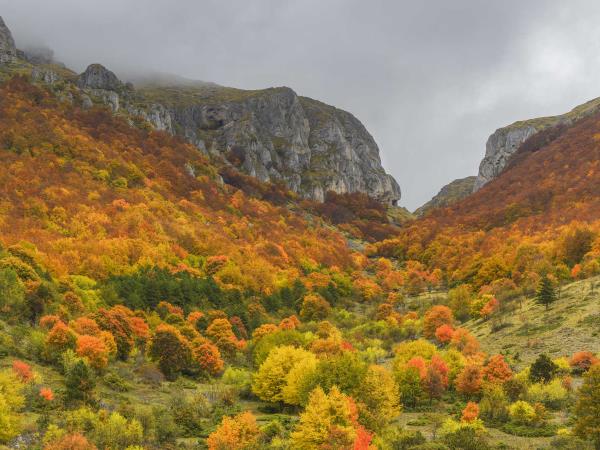 Italy rewilding vacation in the Apennines