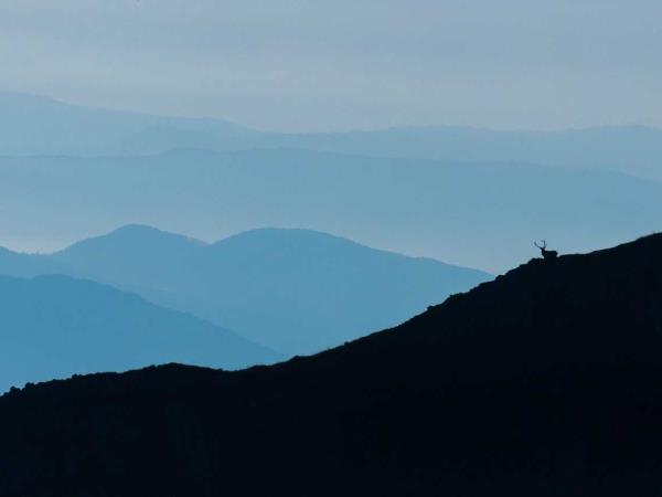 Italy rewilding vacation in the Apennines