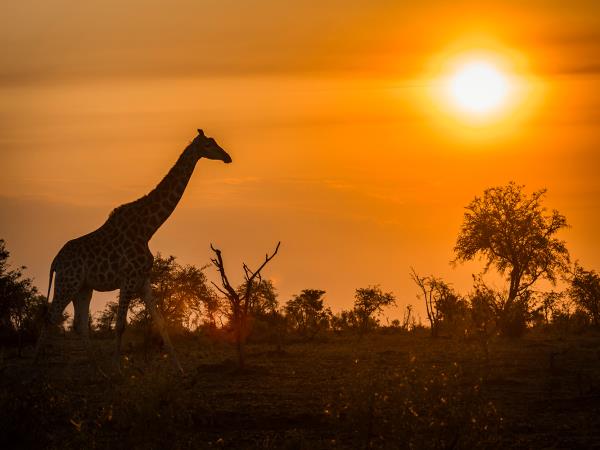 South Africa small group tour