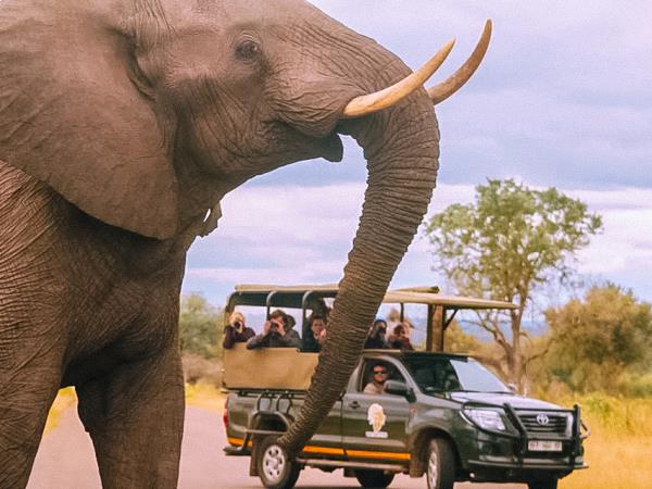 South Africa small group tour