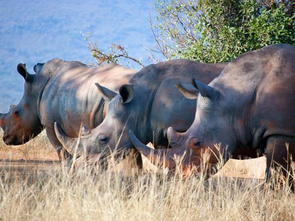 South Africa small group tour