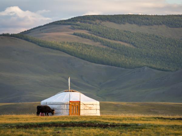 Yoga vacation in Mongolia