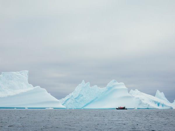 2022 Antarctica, South Georgia and Falklands cruise