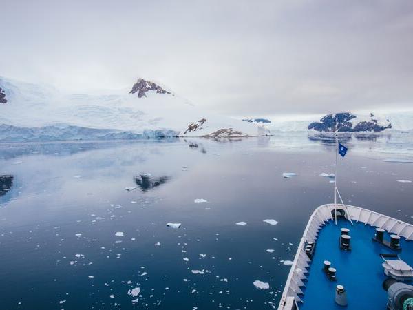 2022 Antarctica, South Georgia and Falklands cruise