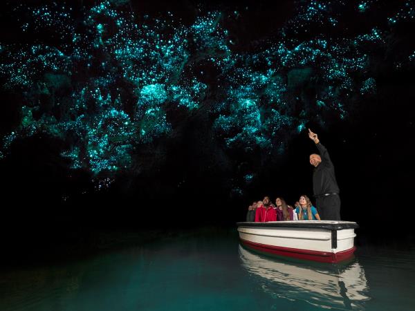 New Zealand 17 day tour