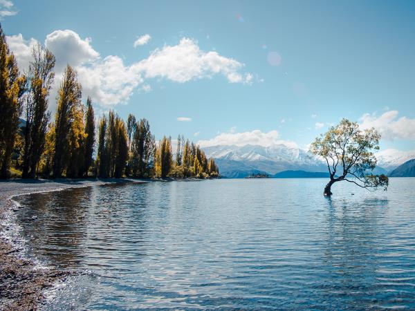 New Zealand 17 day tour