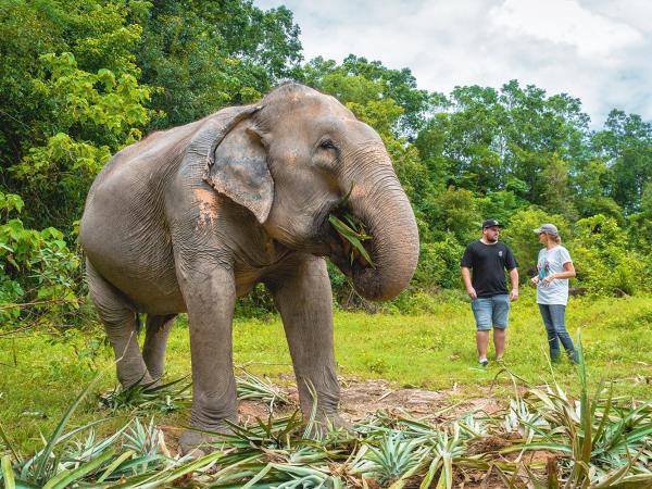 Thailand and Vietnam experience tour