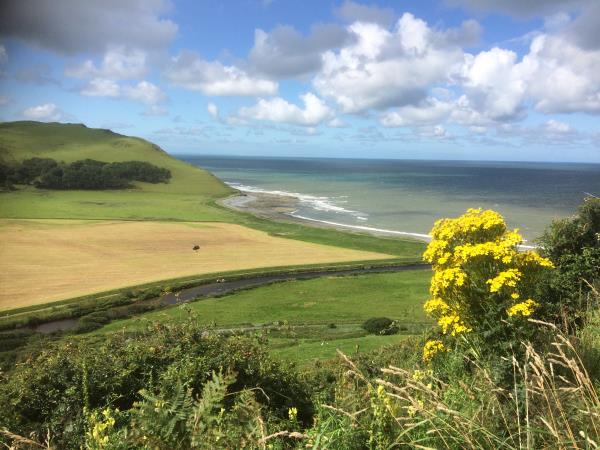Vegetarian bed & breakfast in West Wales