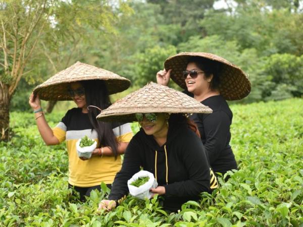 India permaculture volunteering on a tea plantation