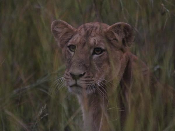 Benin remote safari in Pendjari National Park