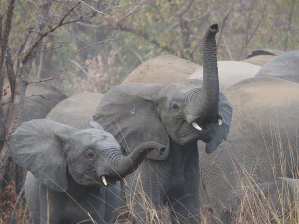 Benin remote safari in Pendjari National Park