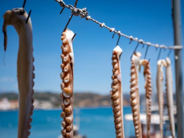 Peloponnese photography tour in Greece