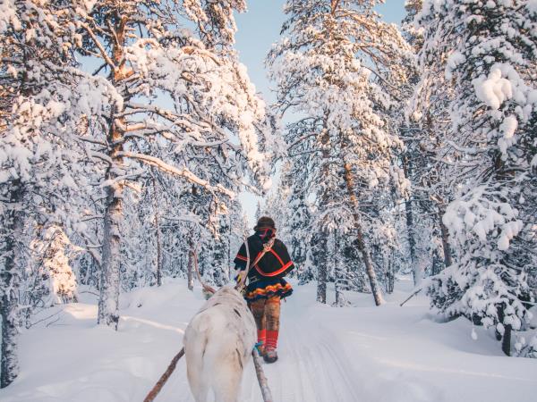 Northern Lights vacation, glass igloo stay