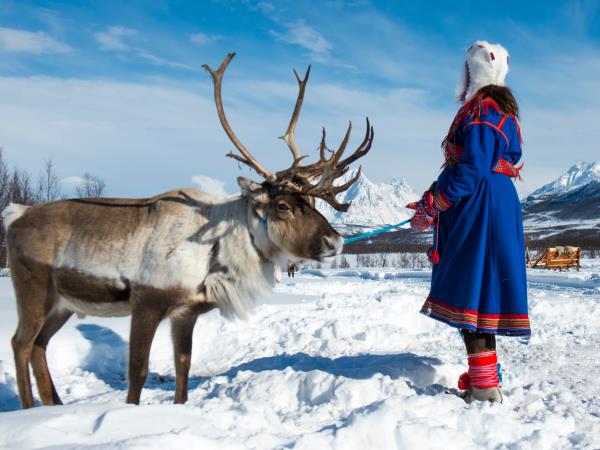 Northern Lights in Lapland tour
