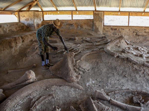 Ethiopia & Kenya expedition, cradle of humanity