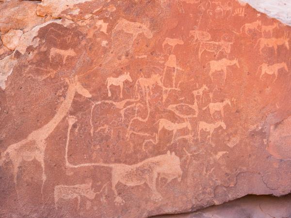 Namibia luxury wildlife expedition