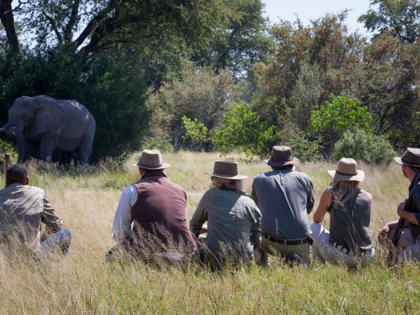 Okavango Delta photographic safari in Botswana