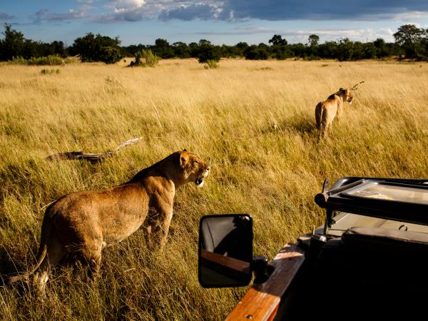 Okavango Delta photographic safari in Botswana