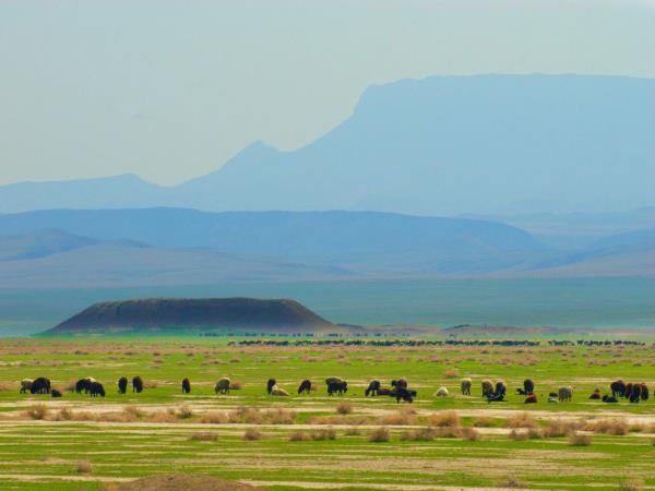 Silk Road history tour, Turkmenistan & Uzbekistan