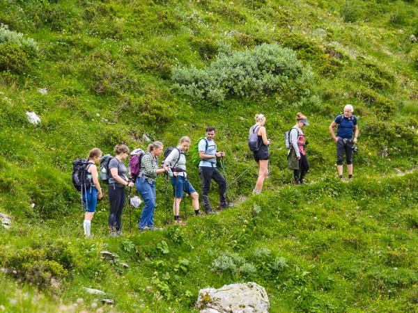 Austria yoga & walking vacation