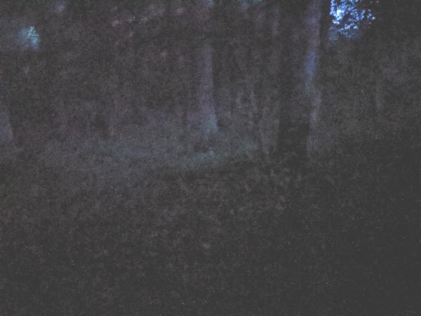 Ghost and nocturnal creatures vacation in Scotland