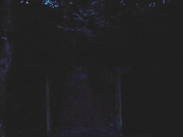 Ghost and nocturnal creatures vacation in Scotland