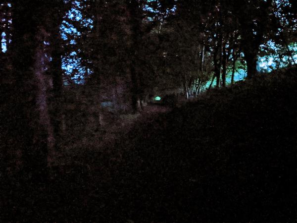 Ghost and nocturnal creatures vacation in Scotland