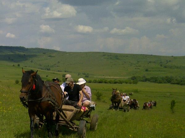 Tailor made vacation in Romania