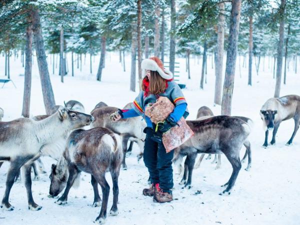 Northern Lights in Lapland tour