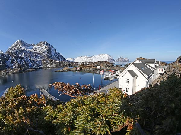 Norway Northern Lights and wildlife vacation