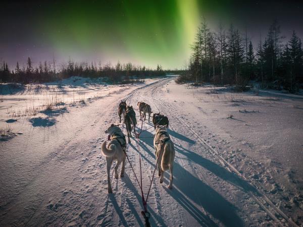 Lapland winter vacation, glass igloos and Northern Lights