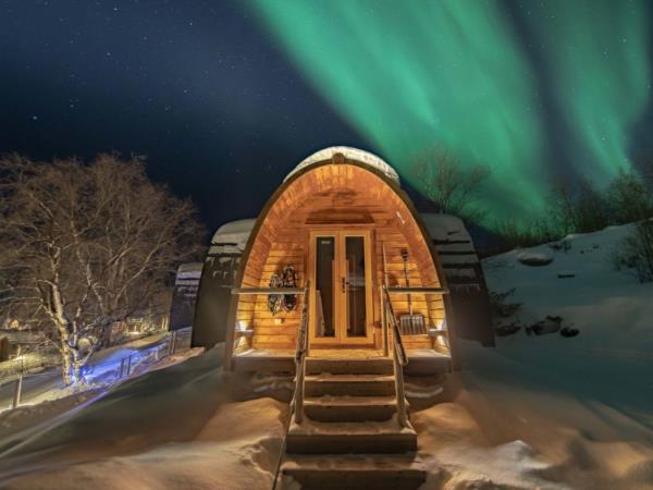 Norway Northern Lights and Fjords vacation